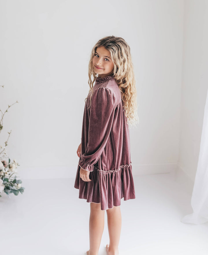 Girls Dusty Rose Smocked Velvet Fancy Holiday Party Dress