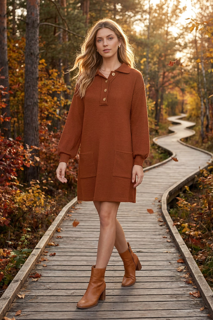 LONG SLEEVE KNIT BUTTON DOWN COLLAR DRESS WITH POCKETS
